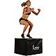 Sunny Health & Fitness 3-in-1 Weighted PRO-Plyo Box                                                                              - view number 1 image