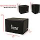 Sunny Health & Fitness 3-in-1 Weighted PRO-Plyo Box                                                                              - view number 2 image