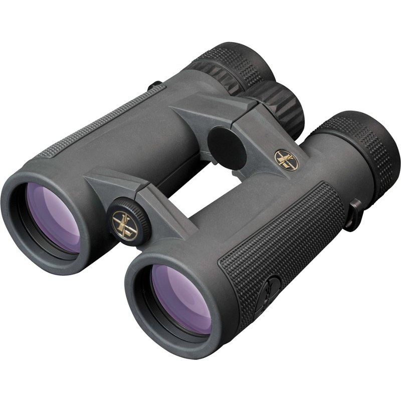 Leupold BX-5 Santia… - image
