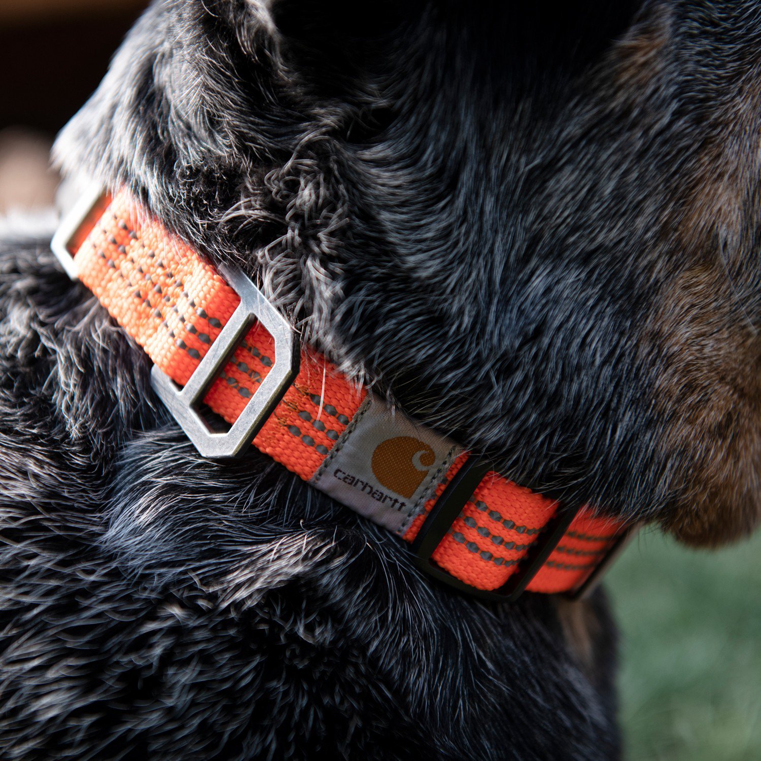 Carhartt Tradesman Dog Collar Academy