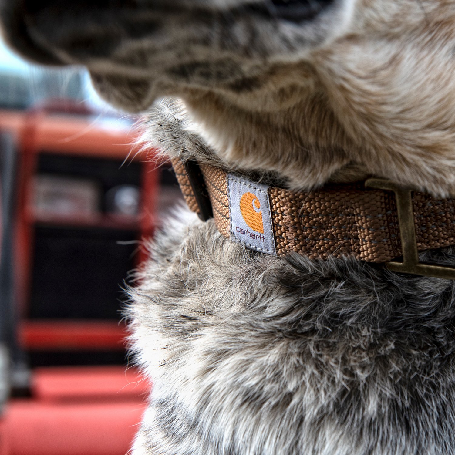 Carhartt Tradesman Dog Collar Academy