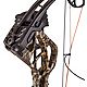 Bear Archery Species Compound Bow with Hunt Ready Package                                                                        - view number 10