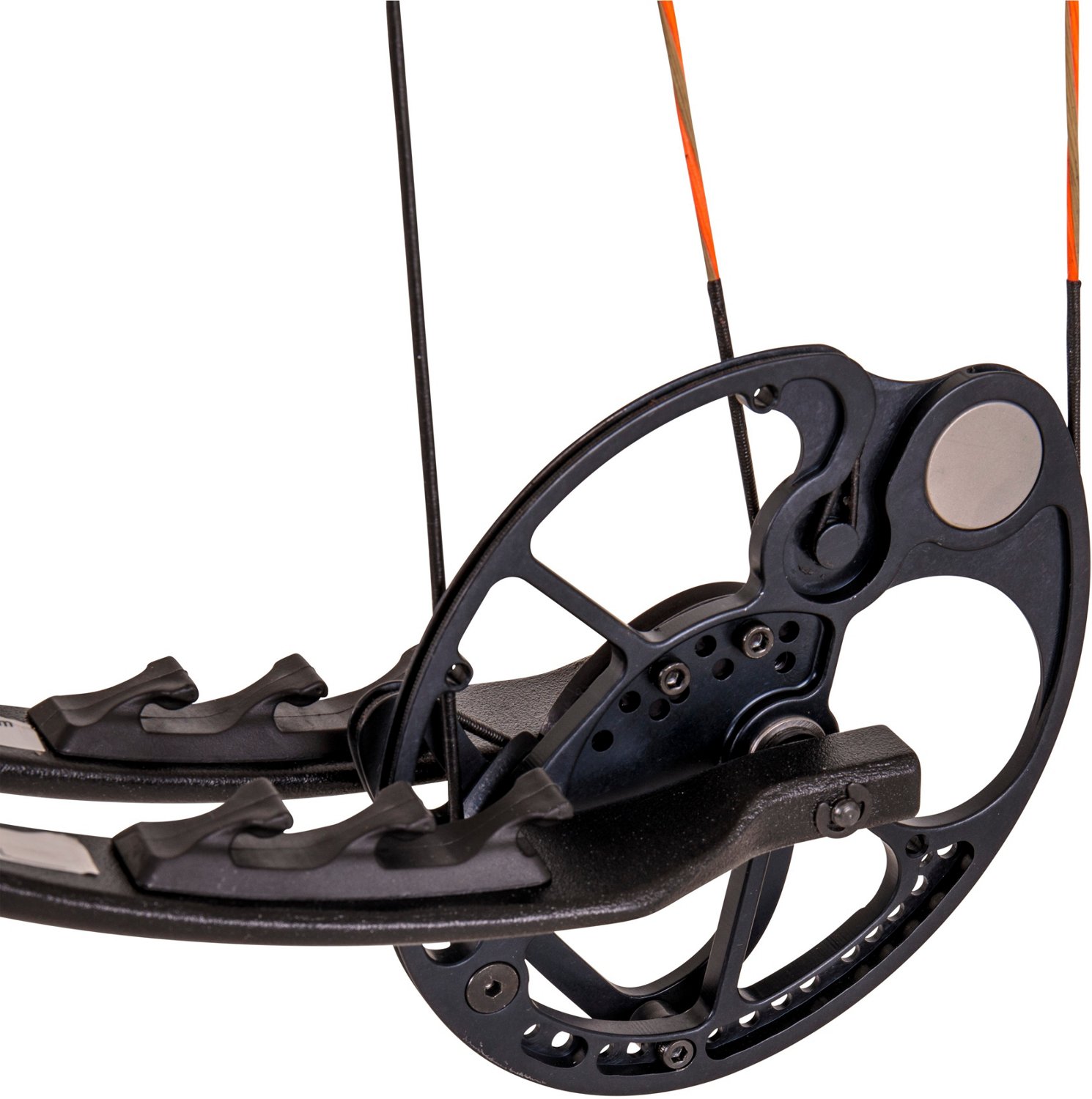 Bear Archery Species Compound Bow with Hunt Ready Package Academy