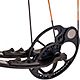 Bear Archery Species Compound Bow with Hunt Ready Package                                                                        - view number 13
