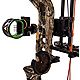 Bear Archery Species Compound Bow with Hunt Ready Package                                                                        - view number 14