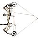 Bear Archery Species Compound Bow with Hunt Ready Package                                                                        - view number 7