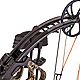 Bear Archery Species Compound Bow with Hunt Ready Package                                                                        - view number 9