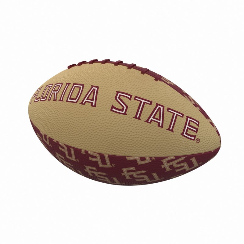 Logo Florida State … - image