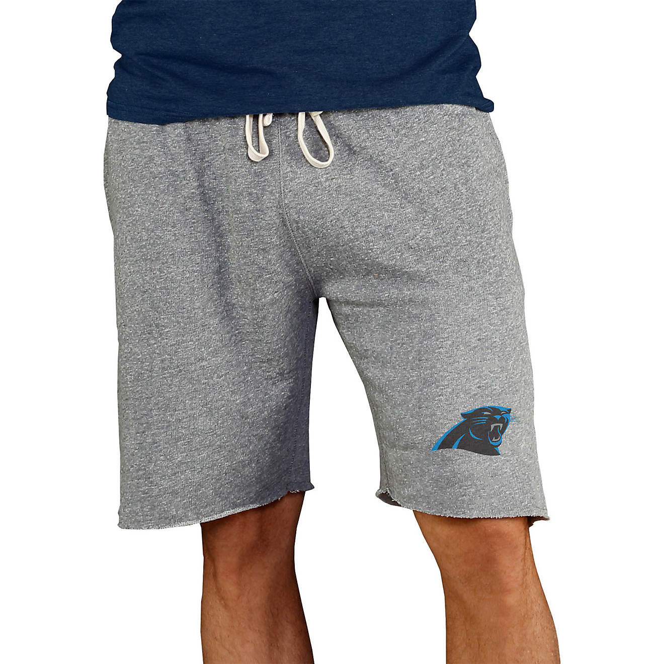 College Concept Men's Carolina Panthers Mainstream Shorts                                                                        - view number 1