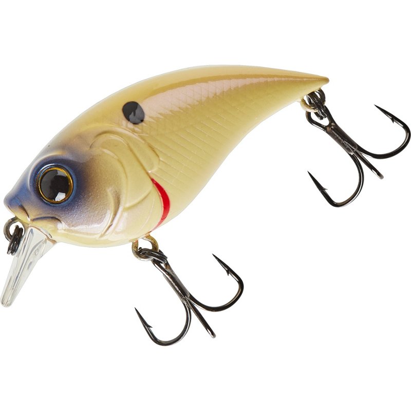 6Th Sense Curve Fin…