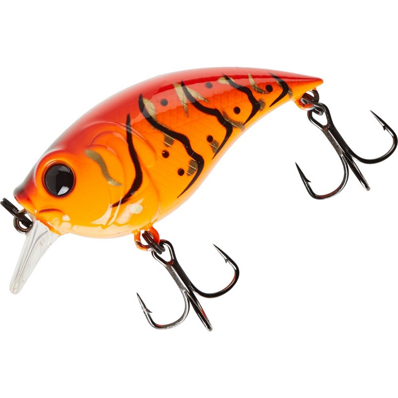 6Th Sense Curve Fin…