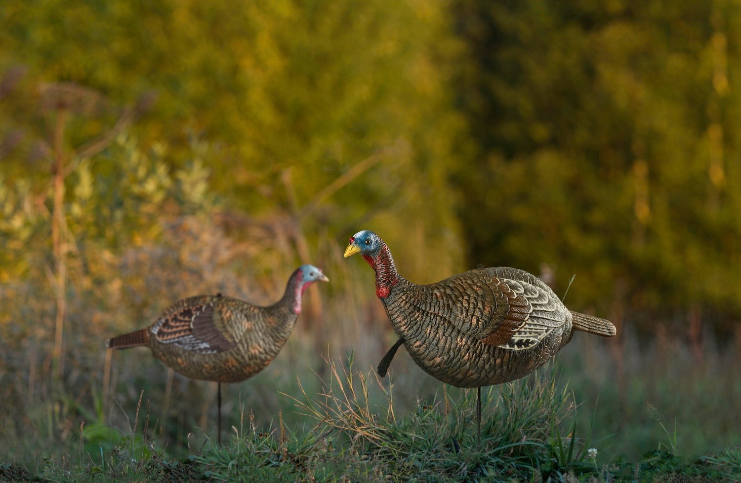 Game Winner Premium Jake Decoy - view number 3