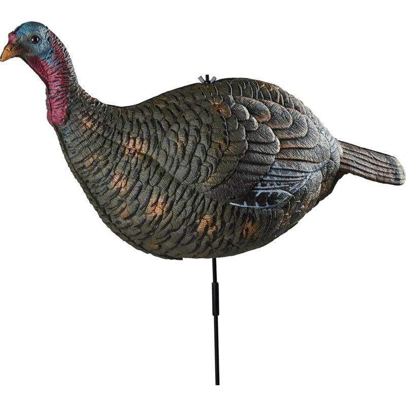 Game Winner Premium Hen Decoy Brown - Decoys And Accessoriesories at Academy Sports