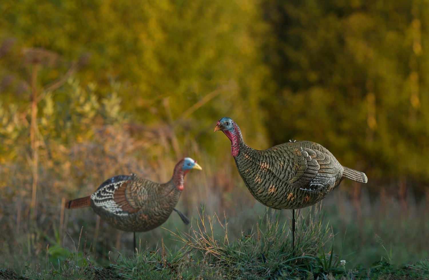 Game Winner Premium Hen Decoy - view number 3