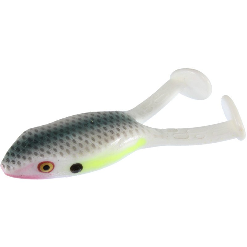 Zoom Frog Soft Bait 3-Pack Sexy Shad - Frsh Wtr Soft Plastic at Academy Sports
