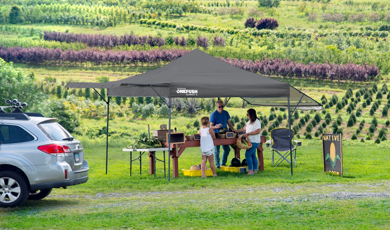 Quik Shade SX170 One Push 10 x 17 ft Canopy