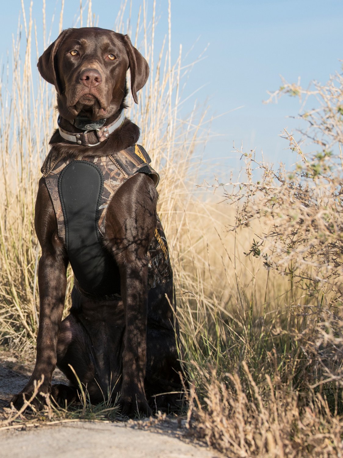 Browning Neoprene Dog Vest - Dog Packs and Accessories