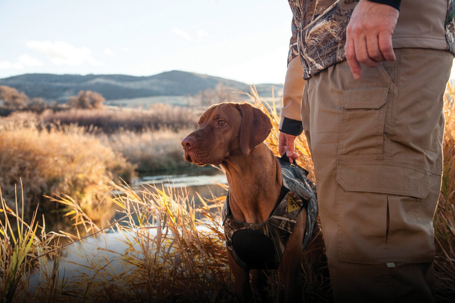 Browning neoprene hotsell dog vest