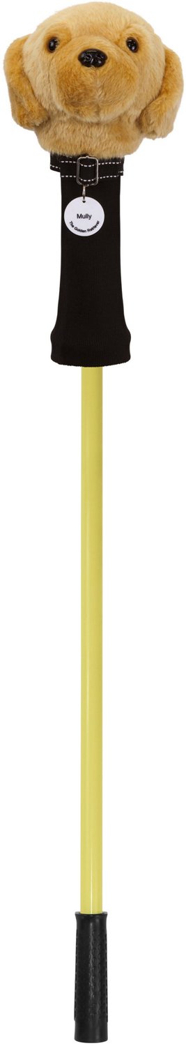 IZZO Golf Golden Retriever Golf Ball Retriever Academy