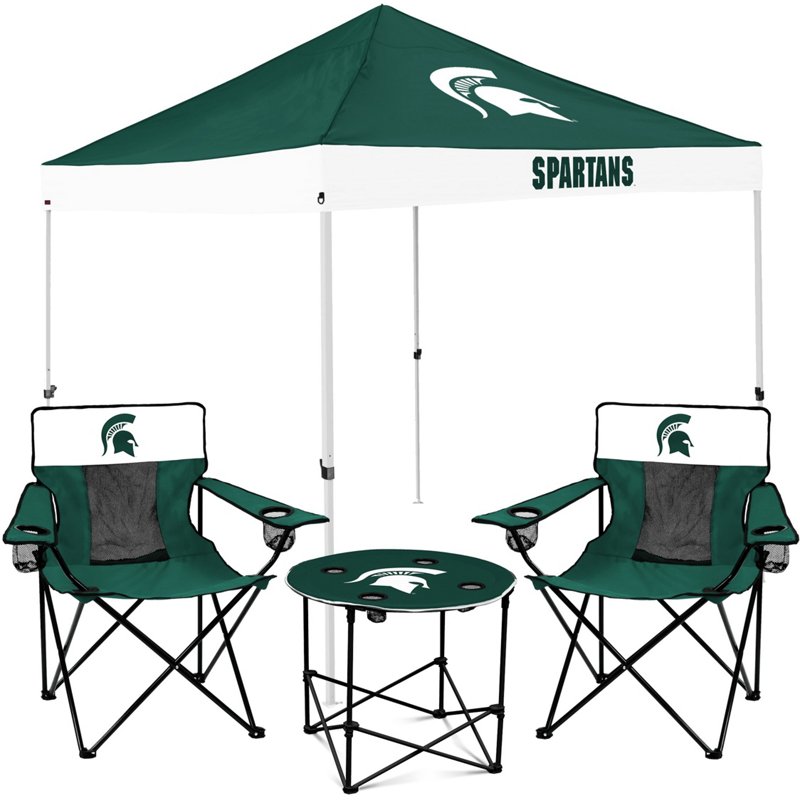 Logo Michigan State… - image