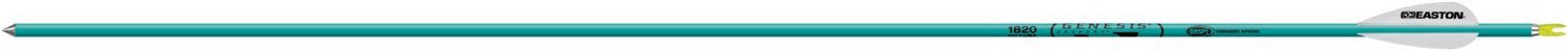 EASTON Genesis Individual NASP Arrow - view number 2