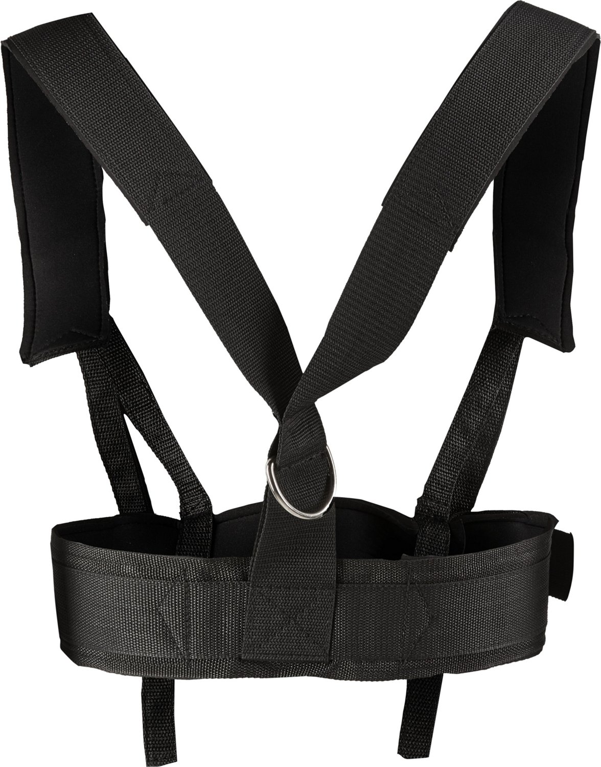 BCG Speed Sled                                                                                                                   - view number 4