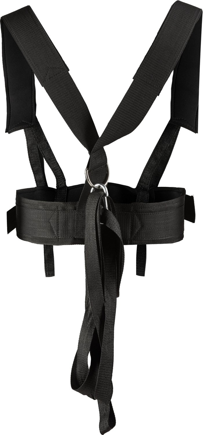 BCG Speed Sled                                                                                                                   - view number 5