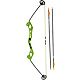 Bear Archery Youth Valiant Bow Set                                                                                               - view number 3 image