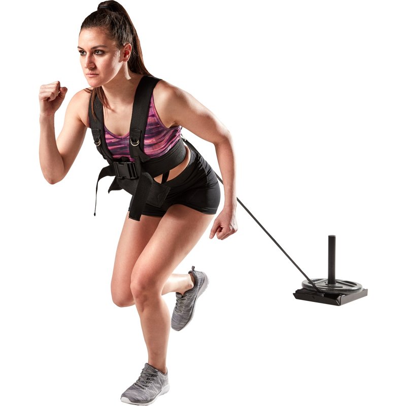 Bcg Speed Sled - image