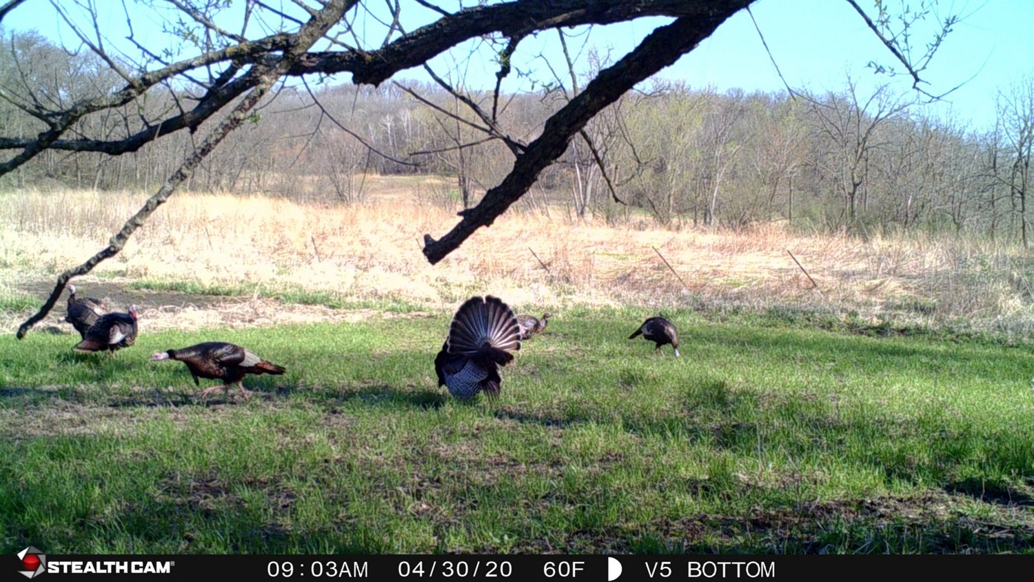 Stealth Cam Fusion 26.0 MP Cellular Wireless Camera - view number 7