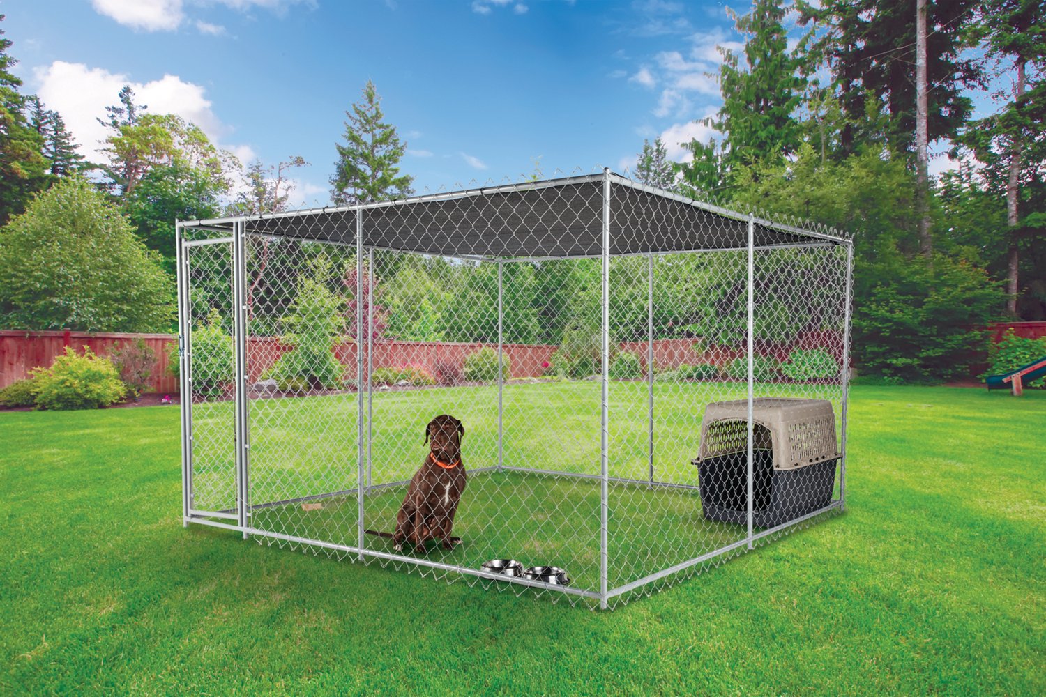 2 in shop 1 dog kennel