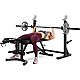 ProForm Sport Olympic Rack and Bench XT with 30-day iFit Subscription                                                            - view number 2