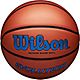 Wilson Evolution Indoor Game Basketball                                                                                          - view number 2 image