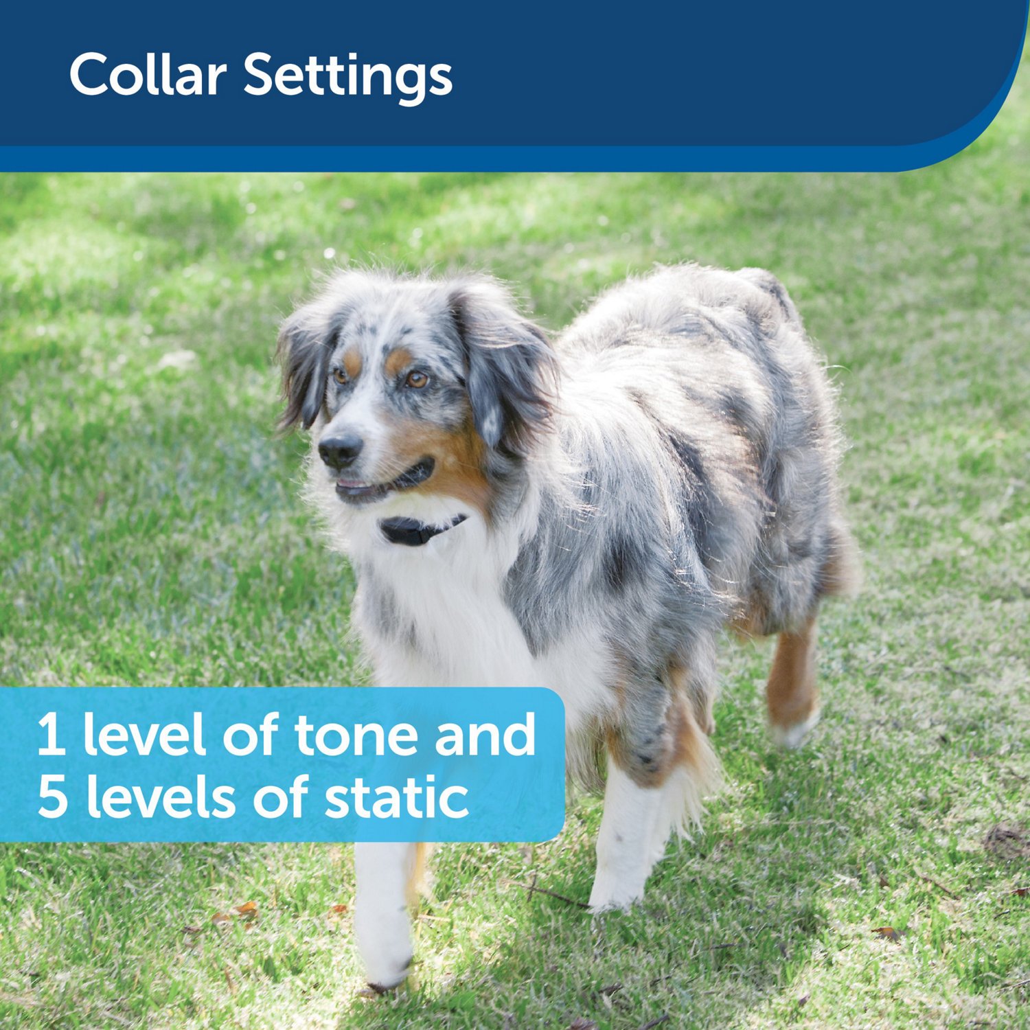 PetSafe Free to Roam Wireless Fence Free Shipping at Academy