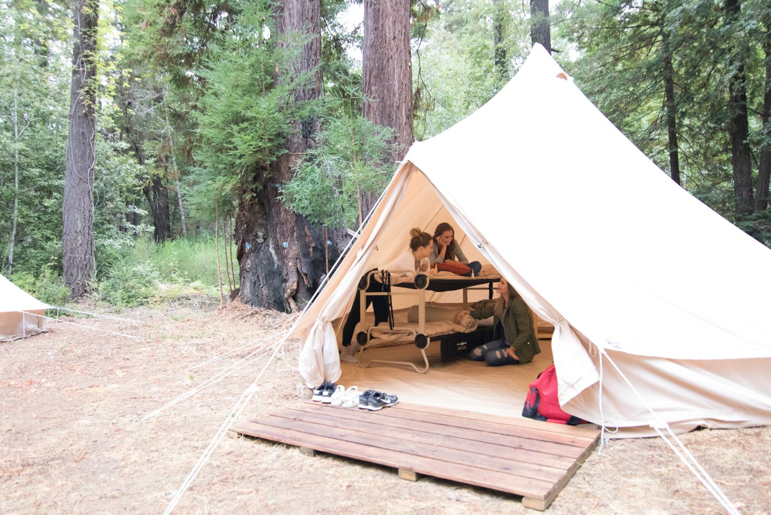 DiscOBed XL with Organizers Cot System Academy