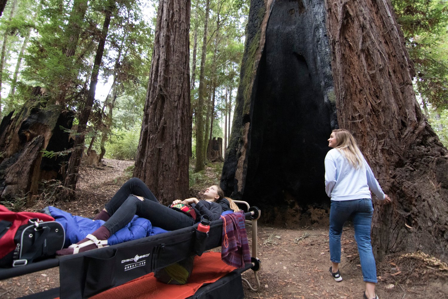 Disc-O-Bed Large with Organizers Cot System                                                                                      - view number 6