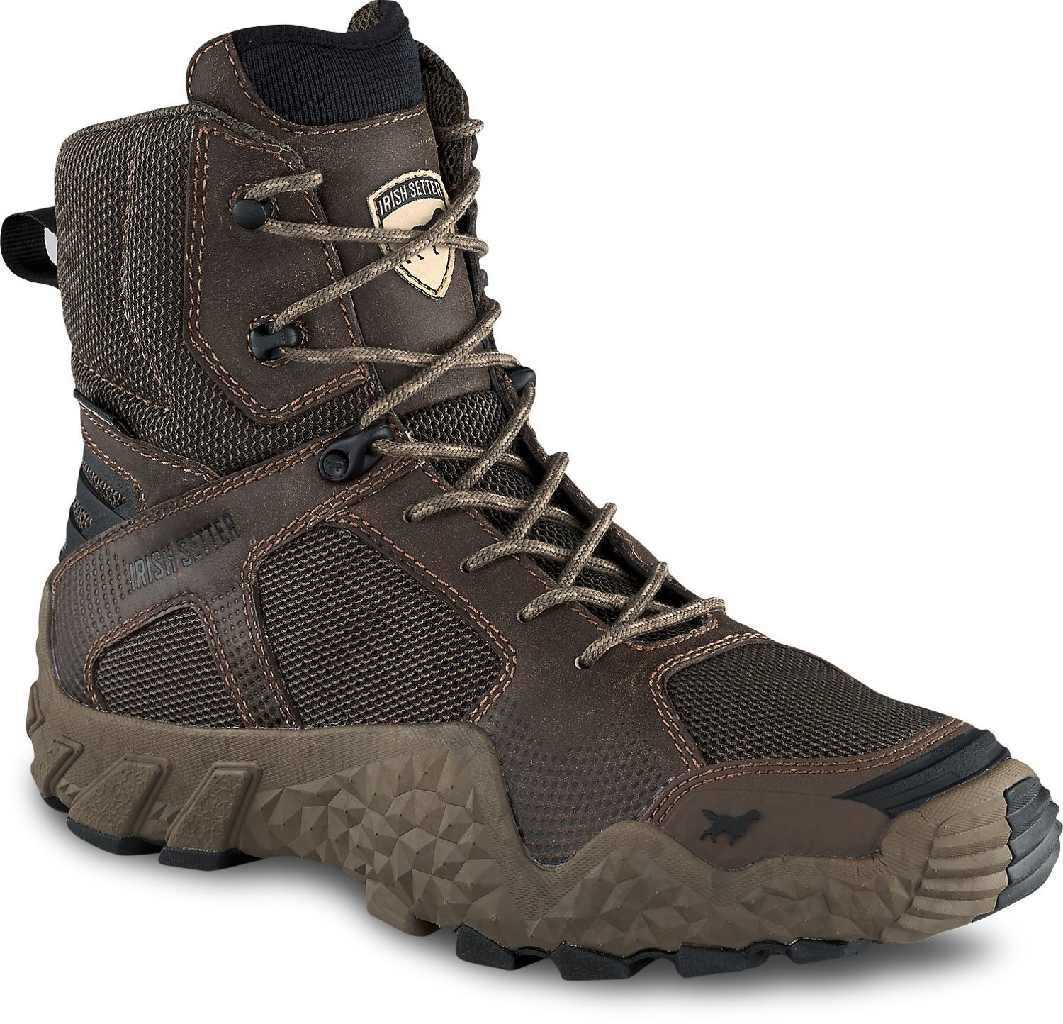 irish setter 2830