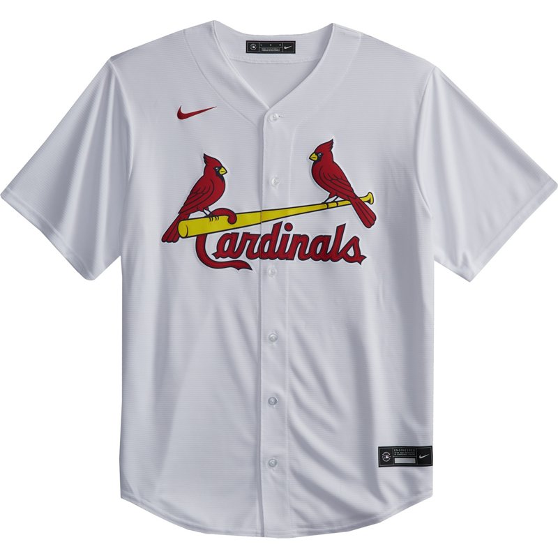 Nike Men's St. Loui… - image