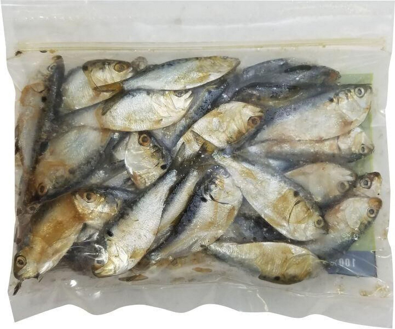 DMF Bait Shad 6-ounces                                                                                                           - view number 2