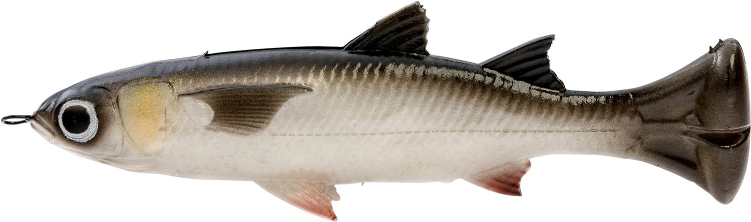 Savage Gear Pulse Tail Silver Mullet 5-inch Sinking Bait | Academy