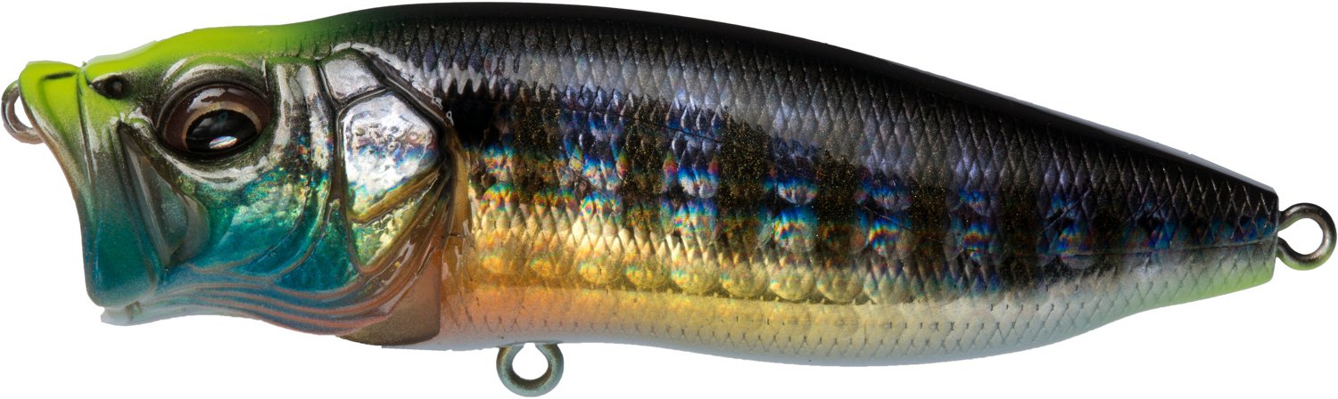 Megabass POPMAX Topwater Lure | Academy