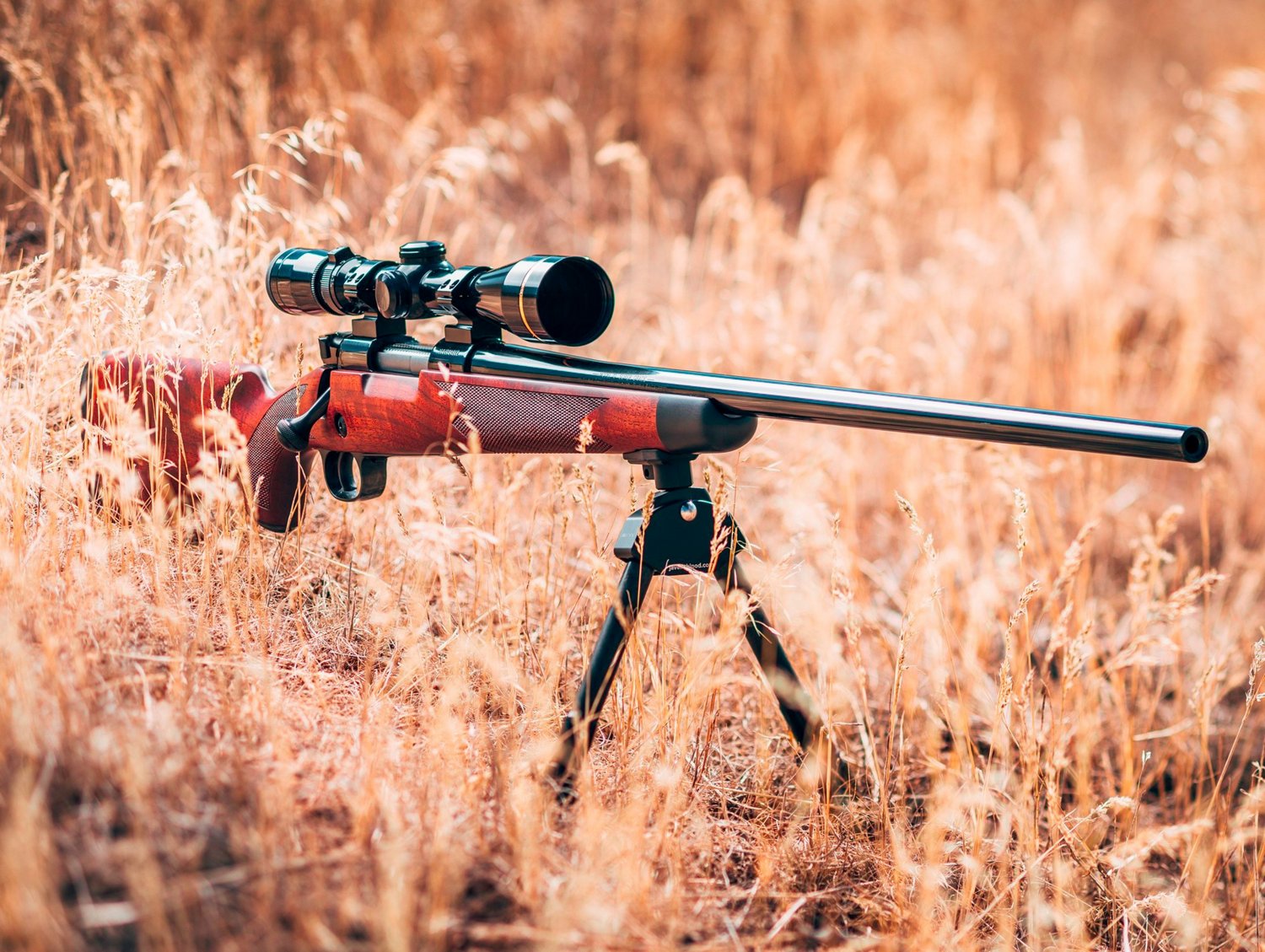 Winchester Model 70 Super Grade Walnut 6.5 Creedmoor Bolt Action Rifle - view number 5