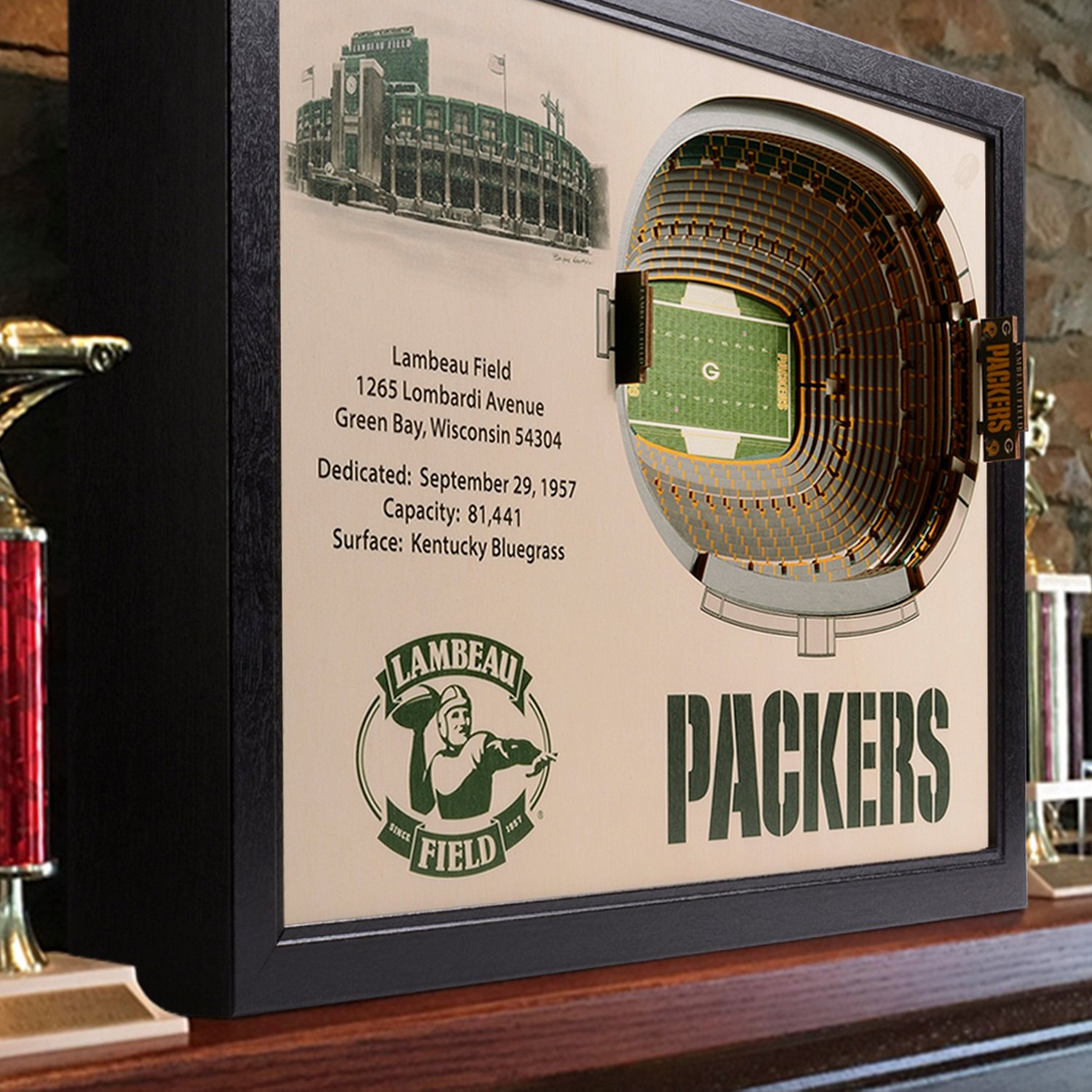 YouTheFan Green Bay Packers 25-Layer StadiumViews 3-D Wall Art                                                                   - view number 2