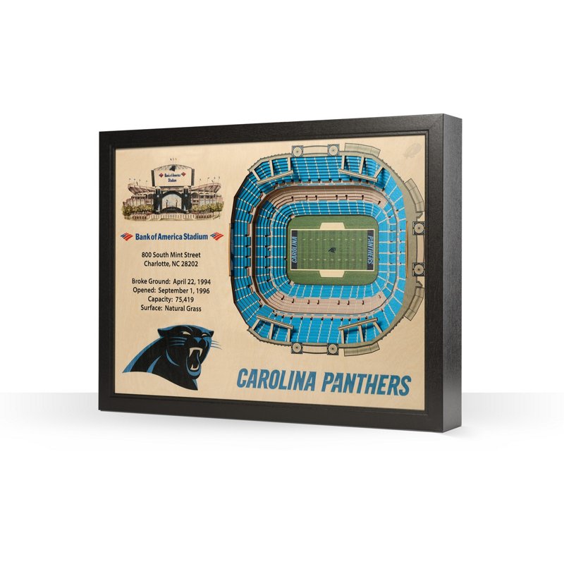 Youthefan Carolina … - image