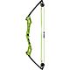 Bear Archery Youth Apprentice Bow Set                                                                                            - view number 1 selected