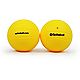 Spikeball Replacement Balls 2-Pack                                                                                               - view number 1 selected