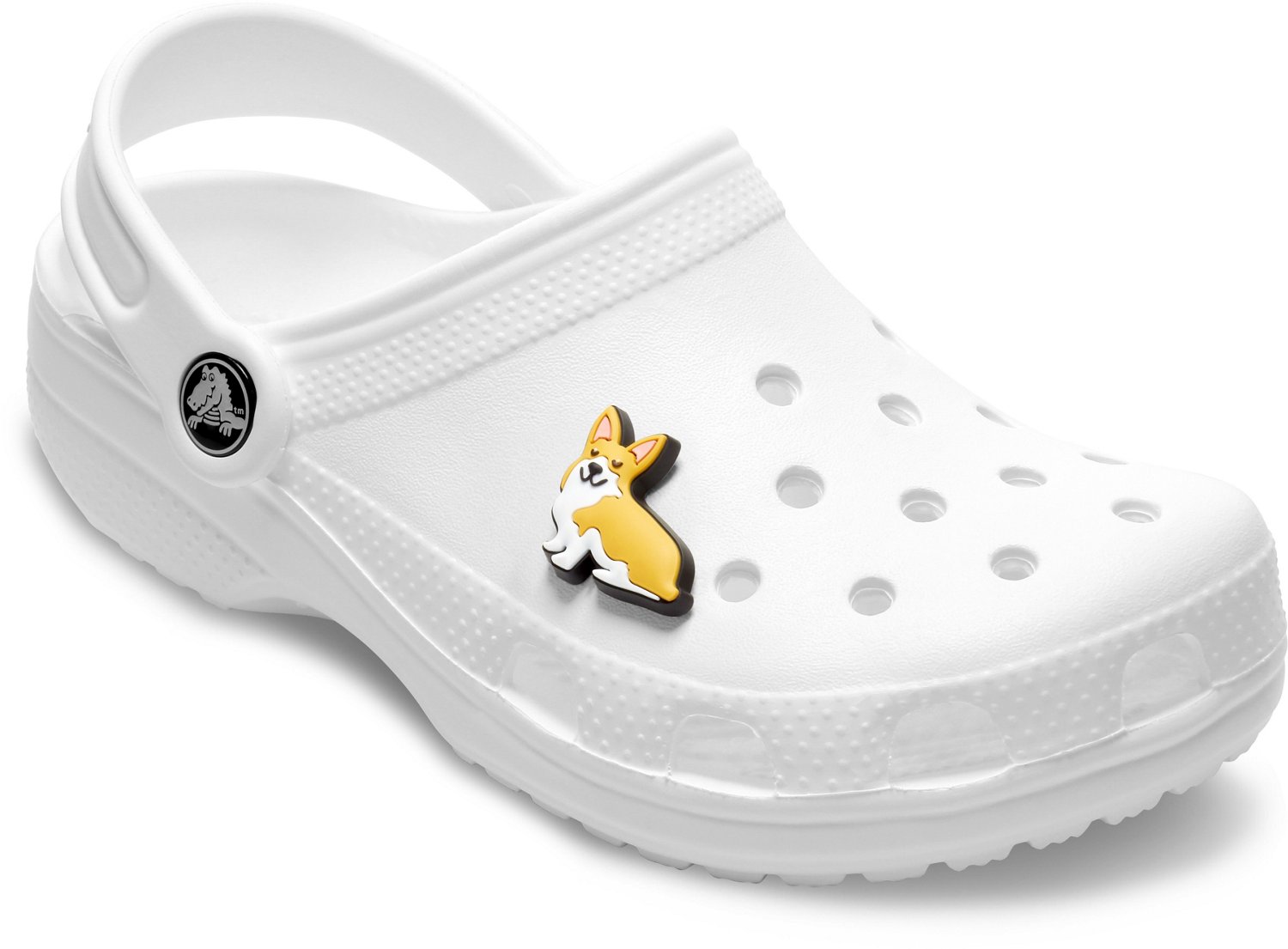 Crocs Jibbitz Charm Academy