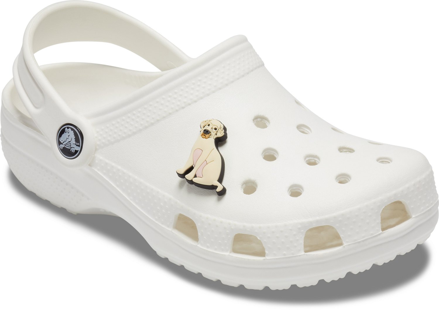 Crocs Yellow Labs Jibbitz Charm Academy