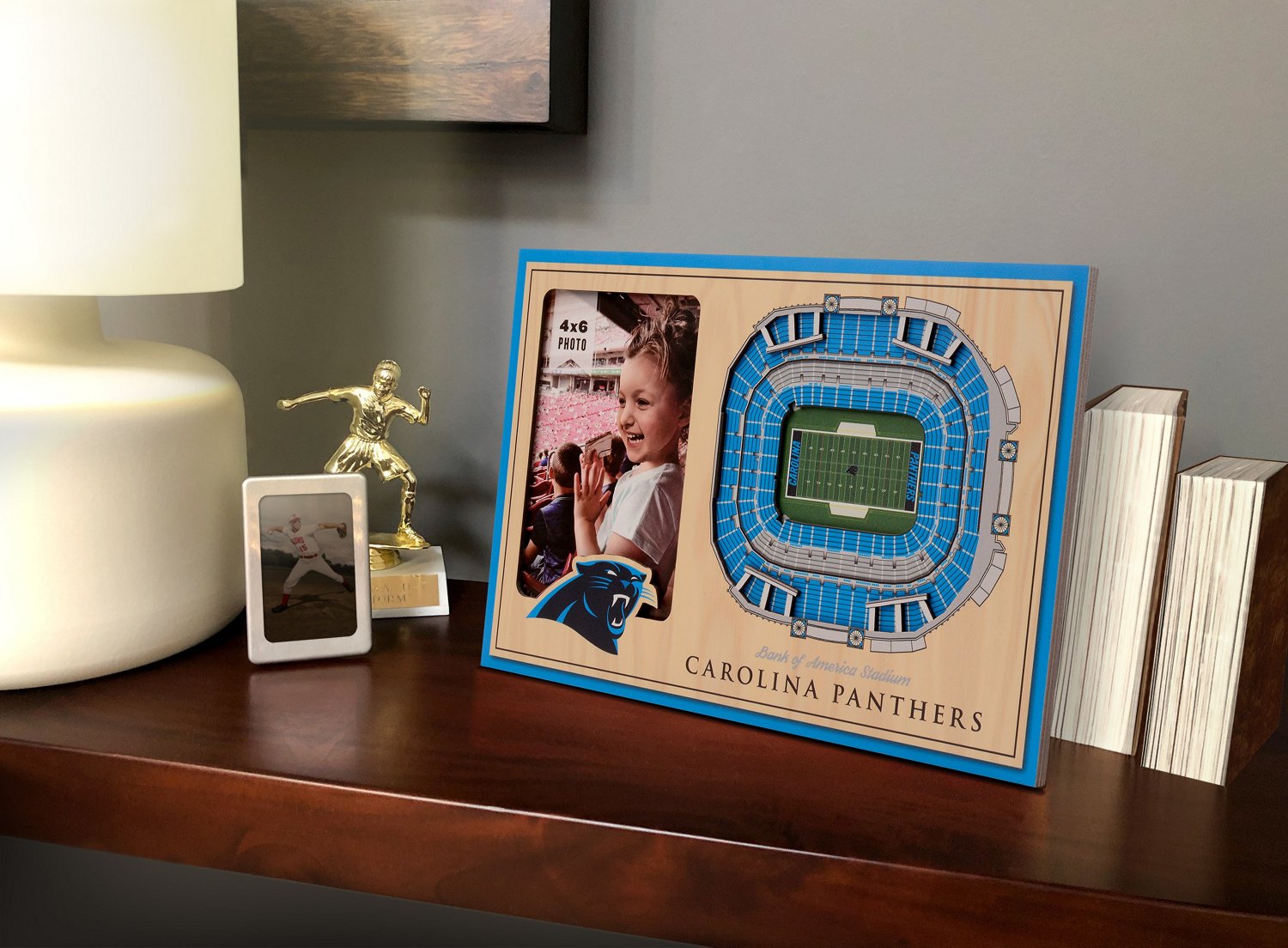 YouTheFan Carolina Panthers 3-D StadiumViews Picture Frame