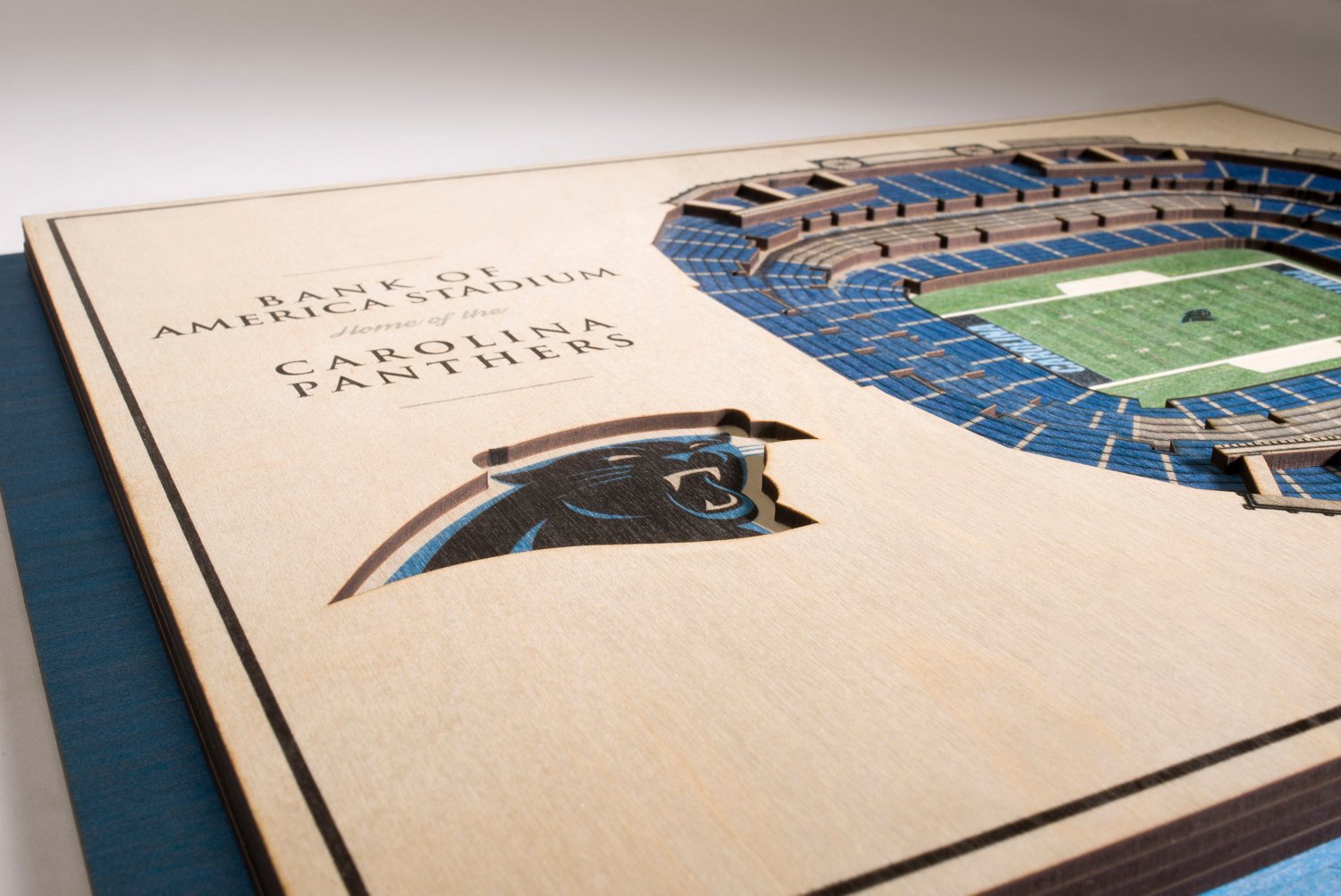 YouTheFan Carolina Panthers 5-Layer StadiumViews 3-D Wall Art                                                                    - view number 2